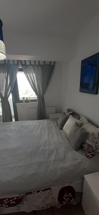BacăuApartament Central. Bloc Nou.アパートメント エクステリア 写真