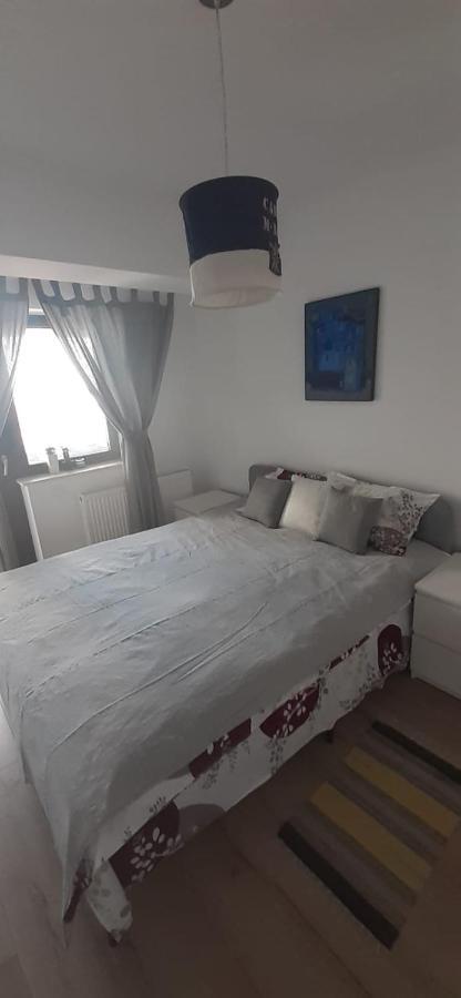 BacăuApartament Central. Bloc Nou.アパートメント エクステリア 写真