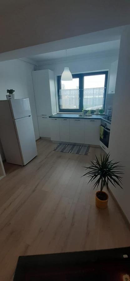 BacăuApartament Central. Bloc Nou.アパートメント エクステリア 写真